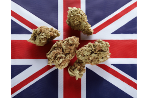 Medical Cannabis Use is at an All Time High in the UK and Expected to Soar