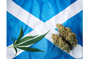 Scottish pioneers to research into Cannabis and super-lettuce with new funding 