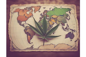 South Africa – The 5 Big Cannabis moments of 2024.