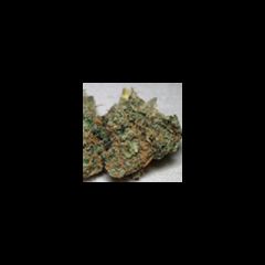 KC Brains - California Special regular cannabis seeds - indica/sativa hybrid marijuana strain with a flowering time between 7-11 weeks