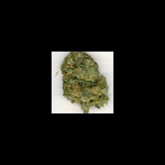 KC Brains - Cristal Limit regular cannabis seeds - indica/sativa hybrid marijuana strain with a flowering time between 6-11 weeks