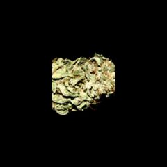 KC Brains - Brains Damage regular cannabis seeds - indica/sativa hybrid marijuana strain with a flowering time between 8-10 weeks