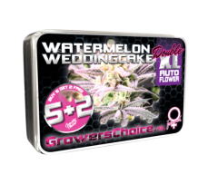 Growers Choice - Watermelon Weddingcake Double XL Auto (Feminized)