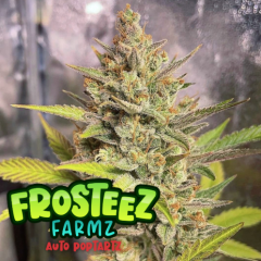 Frosteez Farmz - Auto Pop Tartz (Feminized)