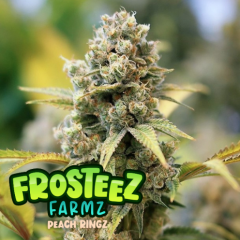 Frosteez Farm - Peach Ringz (Feminized)