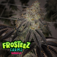 Frosteez Farmz - Sprinklez (Feminized)