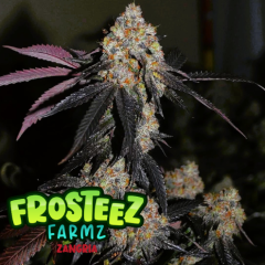 Frosteez Farmz - Zangria (Feminized)