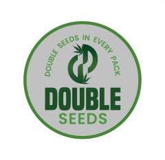 Double Seeds - Bruce Banner (Feminized)