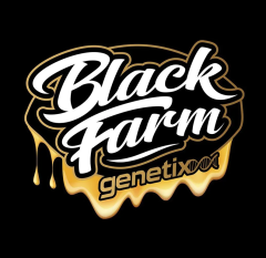 Black Farm Genetix - Sugar Cake (Feminized)