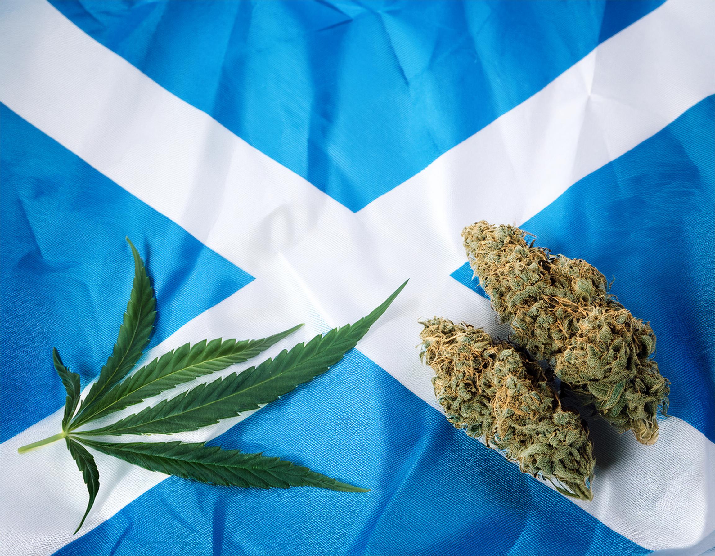 Scottish pioneers to research into Cannabis and super-lettuce with new funding 